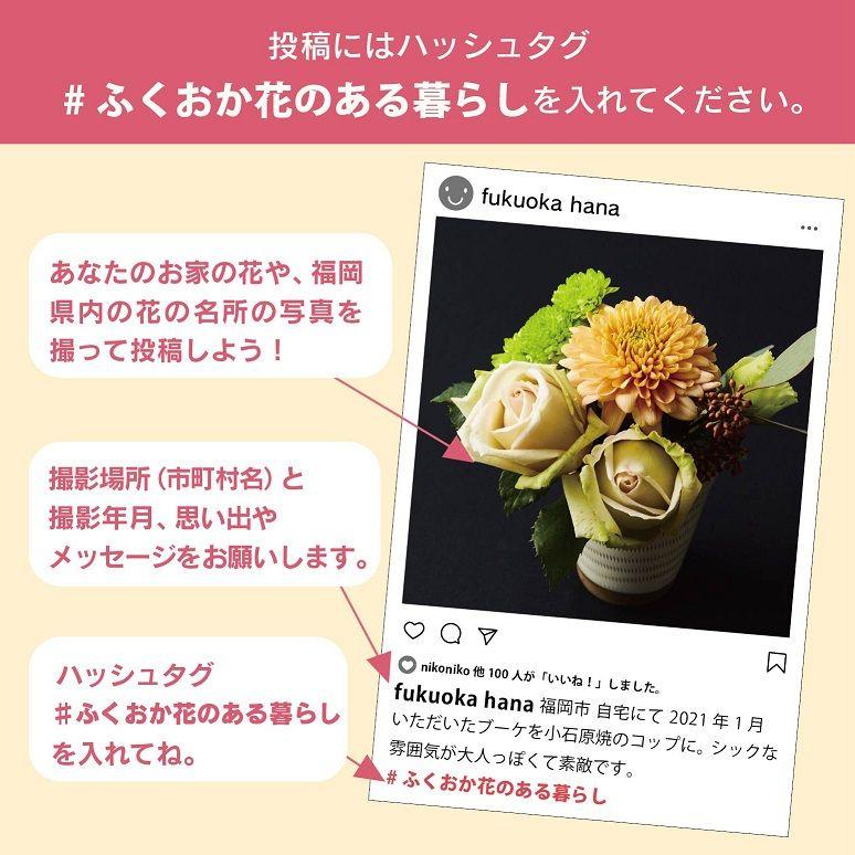福岡県産の花が抽選で当たるインスタプレゼント 終了しました イベント ワークショップ 福岡よかもんひろば