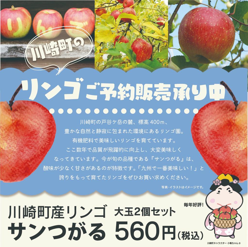 川崎町産りんご紹介