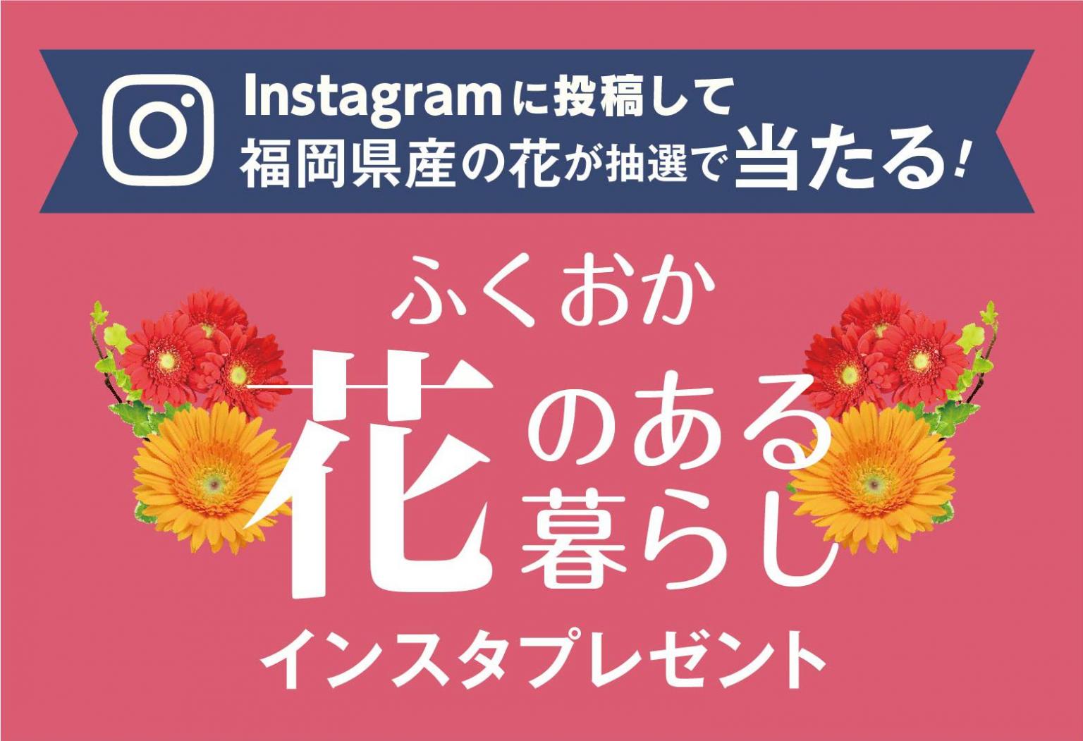 福岡県産の花が抽選で当たるインスタプレゼント 終了しました イベント ワークショップ 福岡よかもんひろば