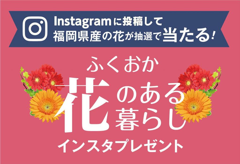 既に終了 福岡県産の花が抽選で当たるインスタプレゼント 終了しました イベント ワークショップ 福岡よかもんひろば