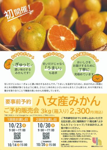 「八女産みかん３Kg予約販売のお知らせ」の紹介画像