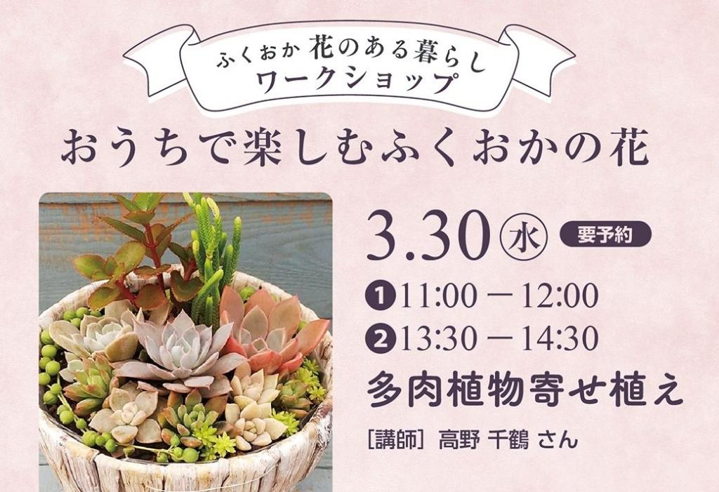 満員になりました！】多肉植物寄せ植えワークショップ | イベント